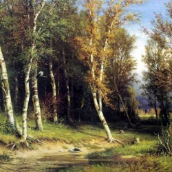 Forest before thunderstorm